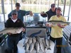 (10/13/2015) - Nice Striped Bass